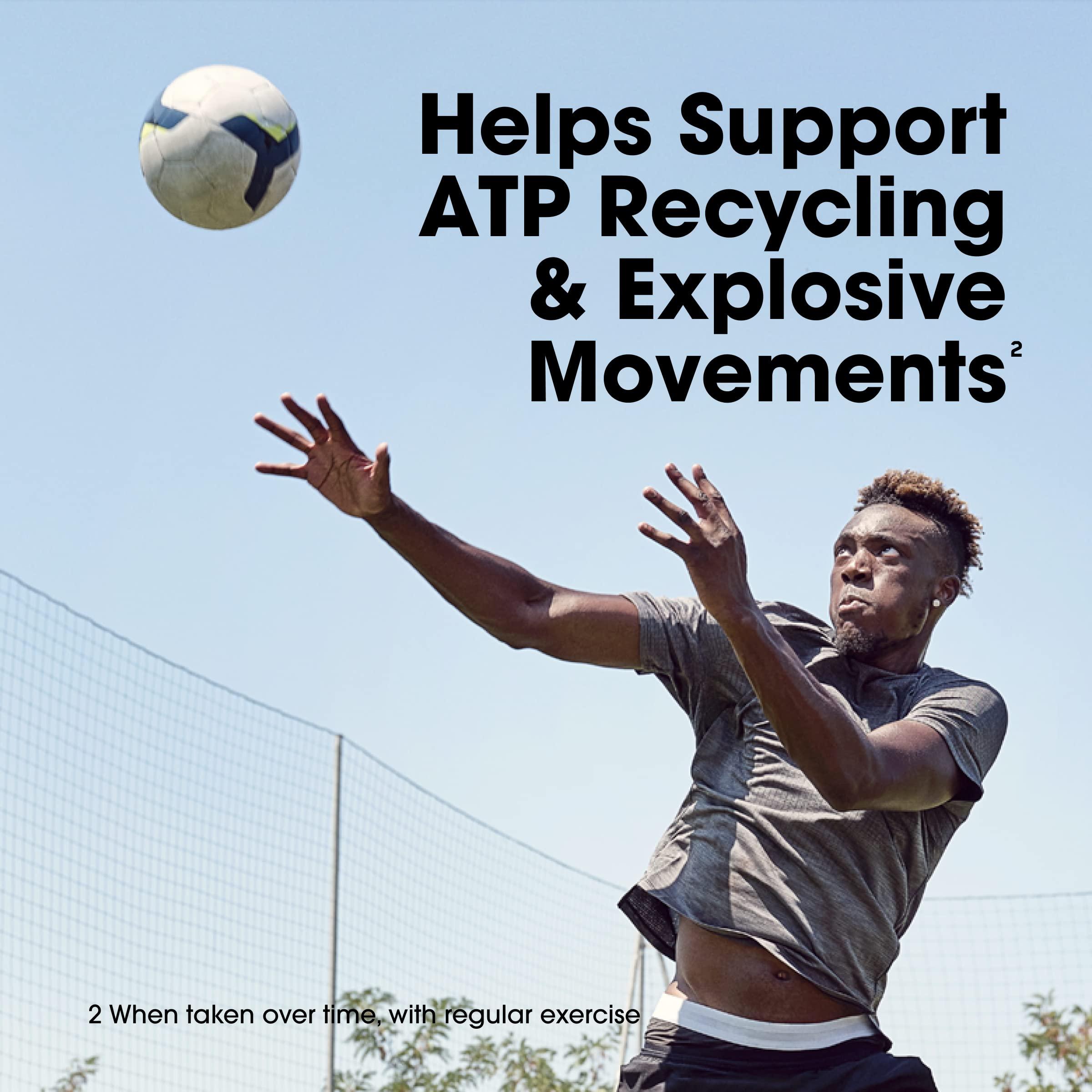 Optimum Nutrition Optimum Nutrition Micronized Creatine Powder 300 g