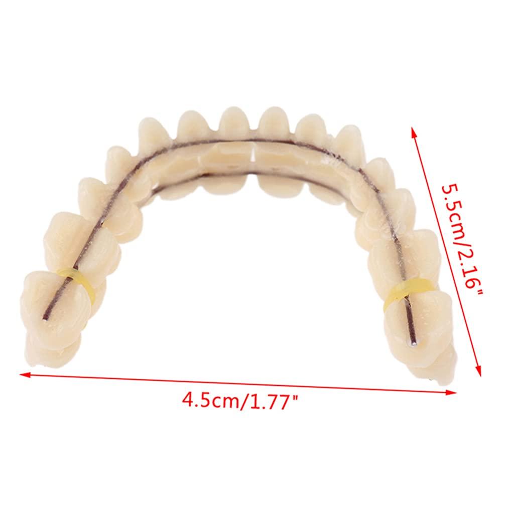 Puco Resin Teeth Denture Upper Lower Shade Artificial Preformed Dentition Care Resin Teeth