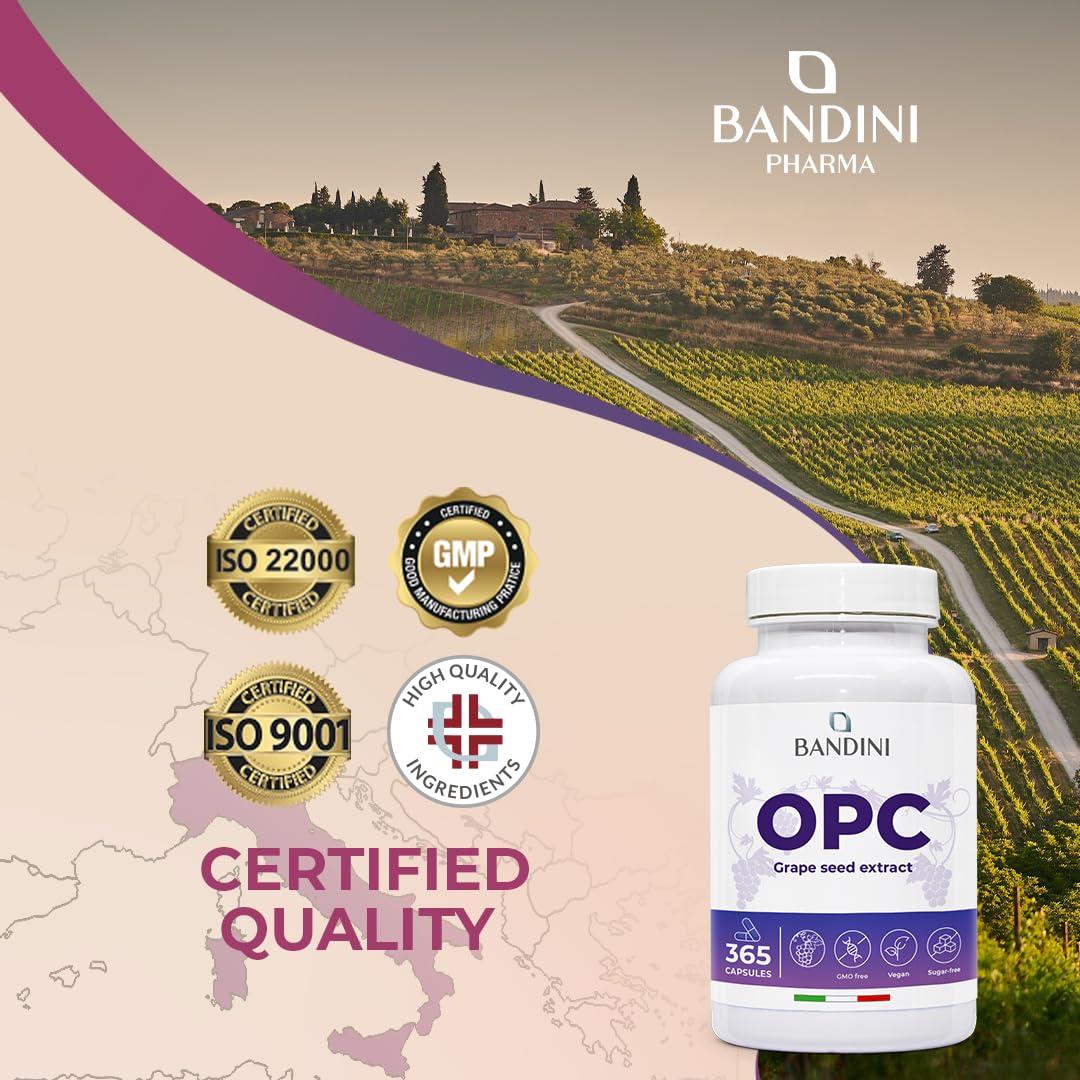 BANDINI Bandini OPC Supplement (95%) Grape Seed Extract | 1076mg OPC + Vitamin C | 365 Capsules | High Strength Antioxidant | Pure Oligomeric Proanthocyanidin 95% from Italian Grapes | Highest HPLC Content