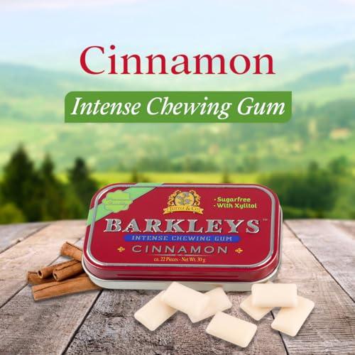 Barkleys Barkleys Sugar Free Chewing Gum with Cinnamon Gum 9 x 30 g