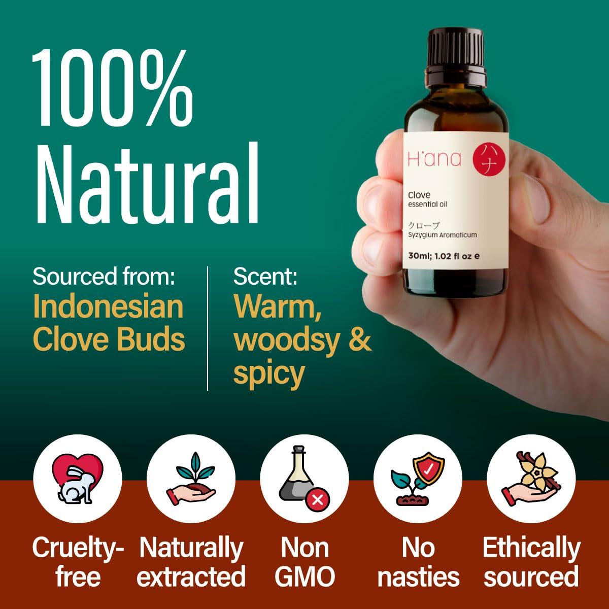 H'ana Hana Clove Oil for Tooth Aches & Pain Relief - 100% Pure and Natural Clove Essential Oil - Therapeutic Grade Clove Oil Essential Oil - Clove Oil for Hair Growth, Skin, Teeth & Gums (30ml)