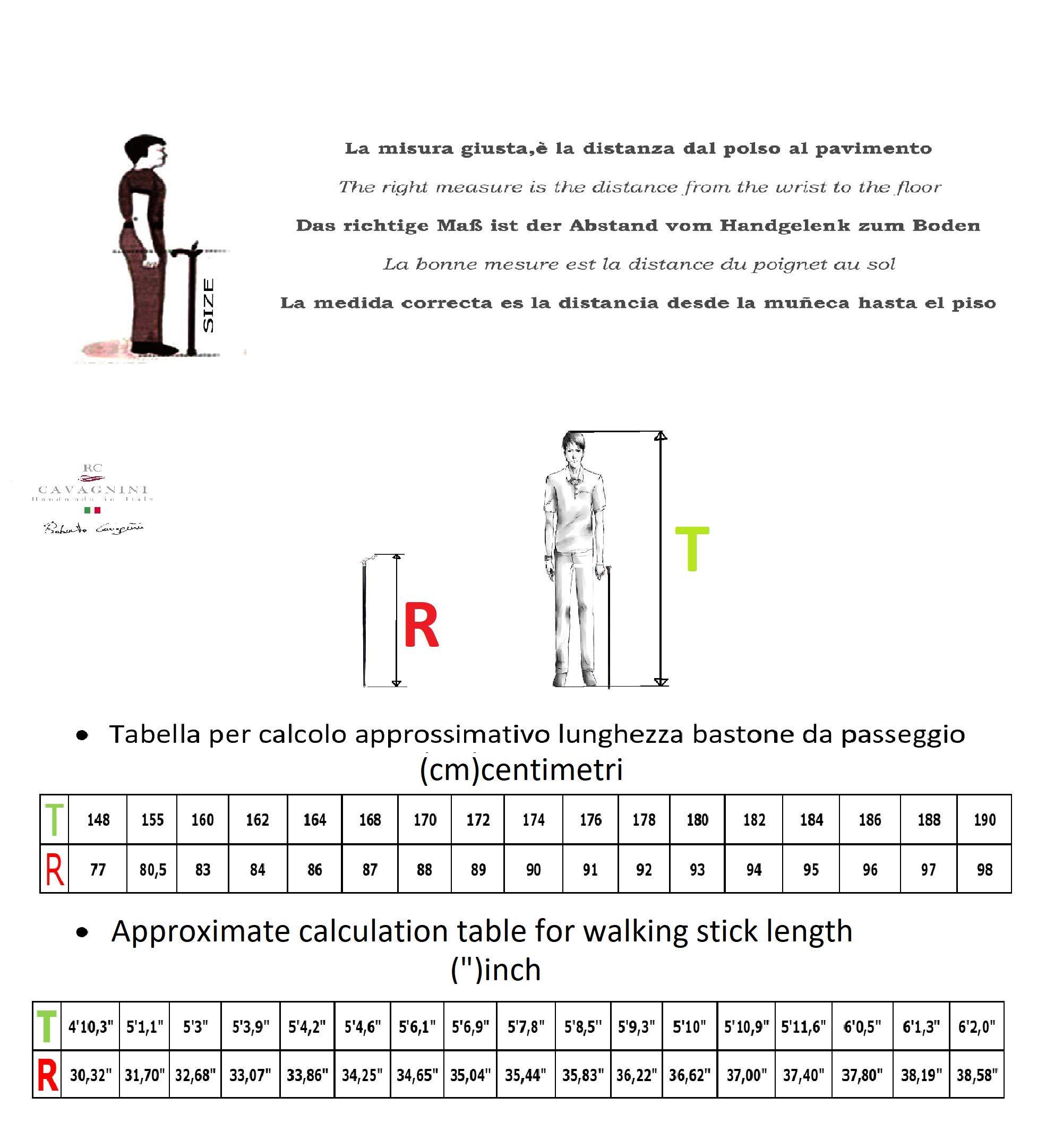 Cavagnini Cavagnini, Walking Stick, Pointer Dog, Customizable in Color, Length and tip, (Brown Beech (M))