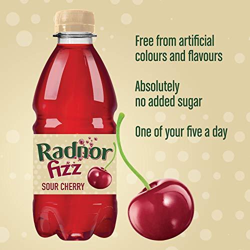 Radnor Hills Radnor Fizz Cherry NO ADDED SUGAR Juice Drink Multipack 24 x 330ml