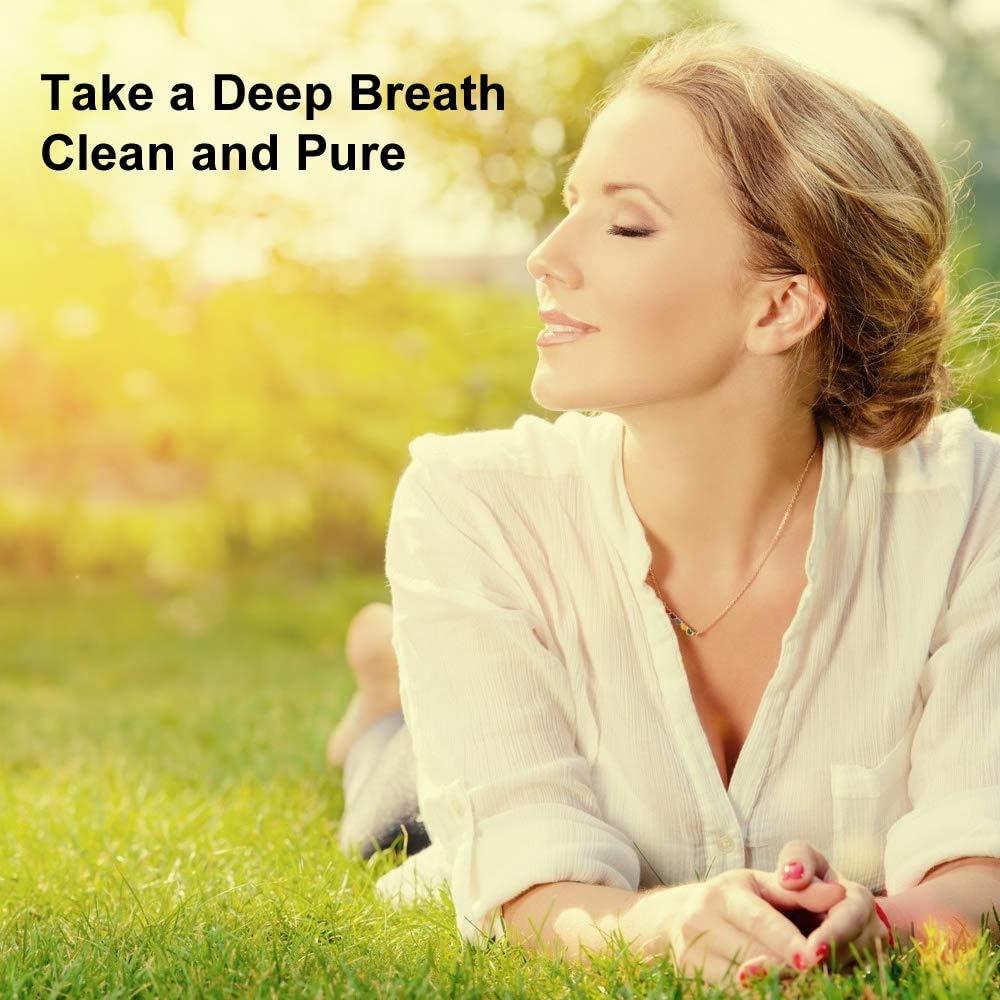 WoodyKnows WoodyKnows Ultra-Breathable Nasal Filters with 12 Pairs of Replacement Filters(Round, X-Large, 3 Pack)