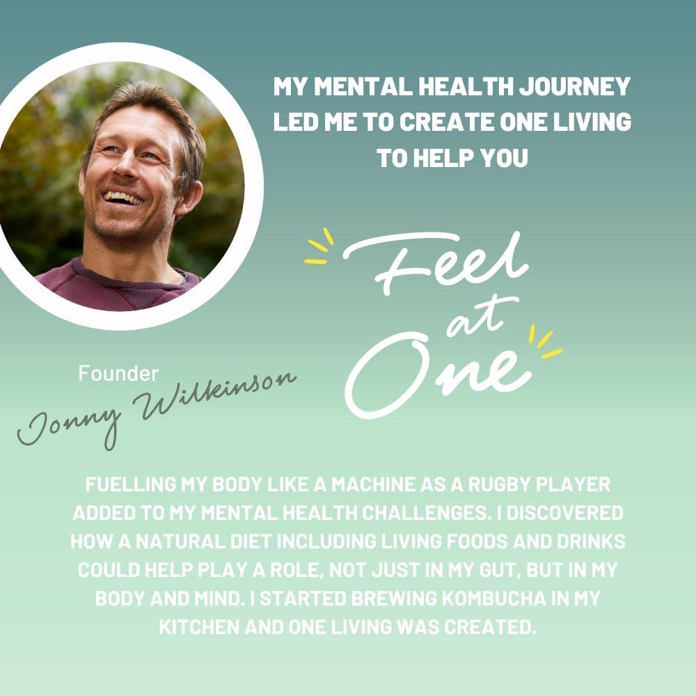 No 1 Living One Living Plus Immune Kombucha Drink - Ginger 24x 250ml Cans - Authentically Brewed Kombucha with Live Cultures - Added Reishi Mushroom and Vitamin D