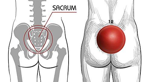 Pelvic Clock Pelvic Clock Exercise Device for Chronic Hip & Lower Back Pain Relief