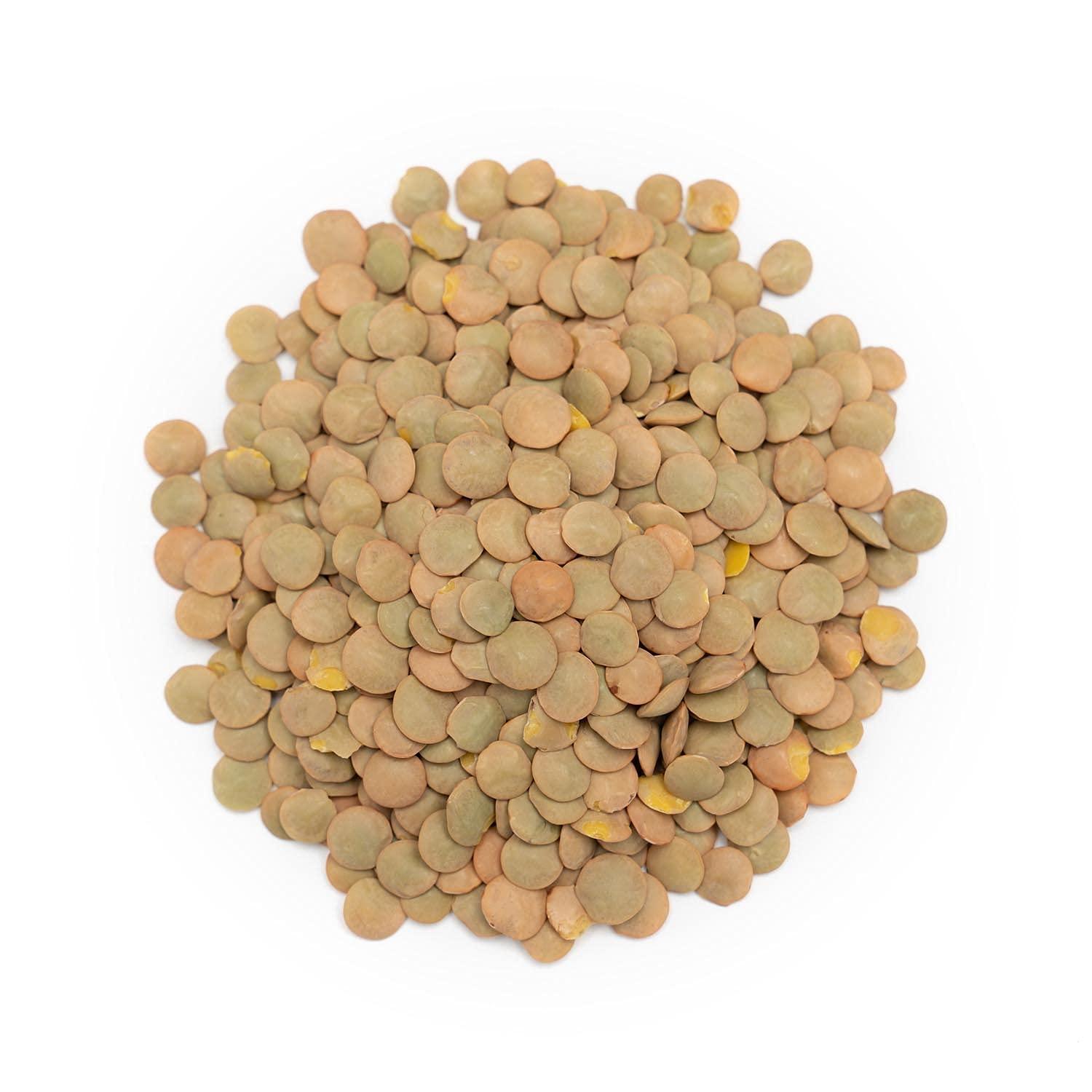 Forest Whole Foods Forest Whole Foods Organic Green Lentils, 10 kg