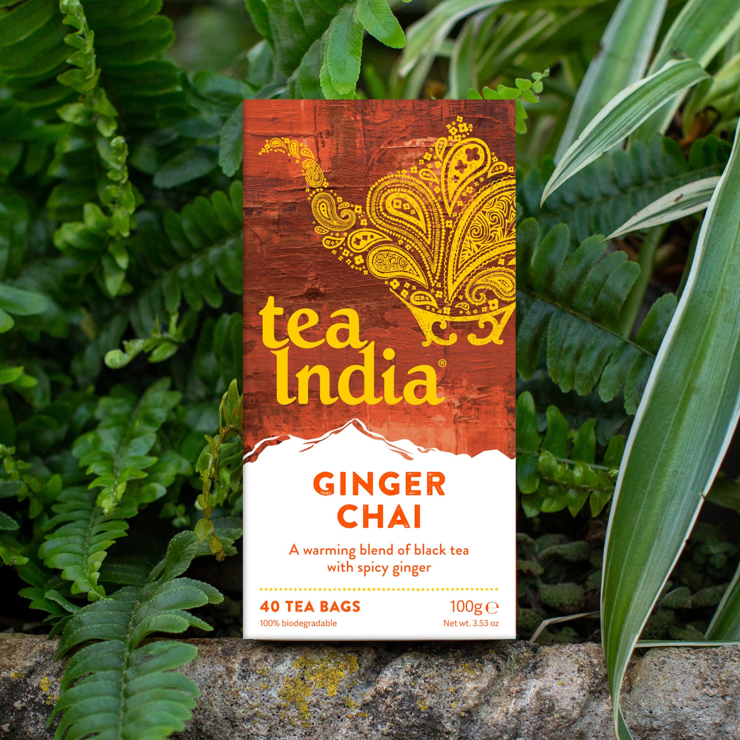 Tea India Tea India Chai Tea Bags (4 Packs of 40 Biodegradable Tea Bags) Rainforest Alliance Certified (Mixed Chai)
