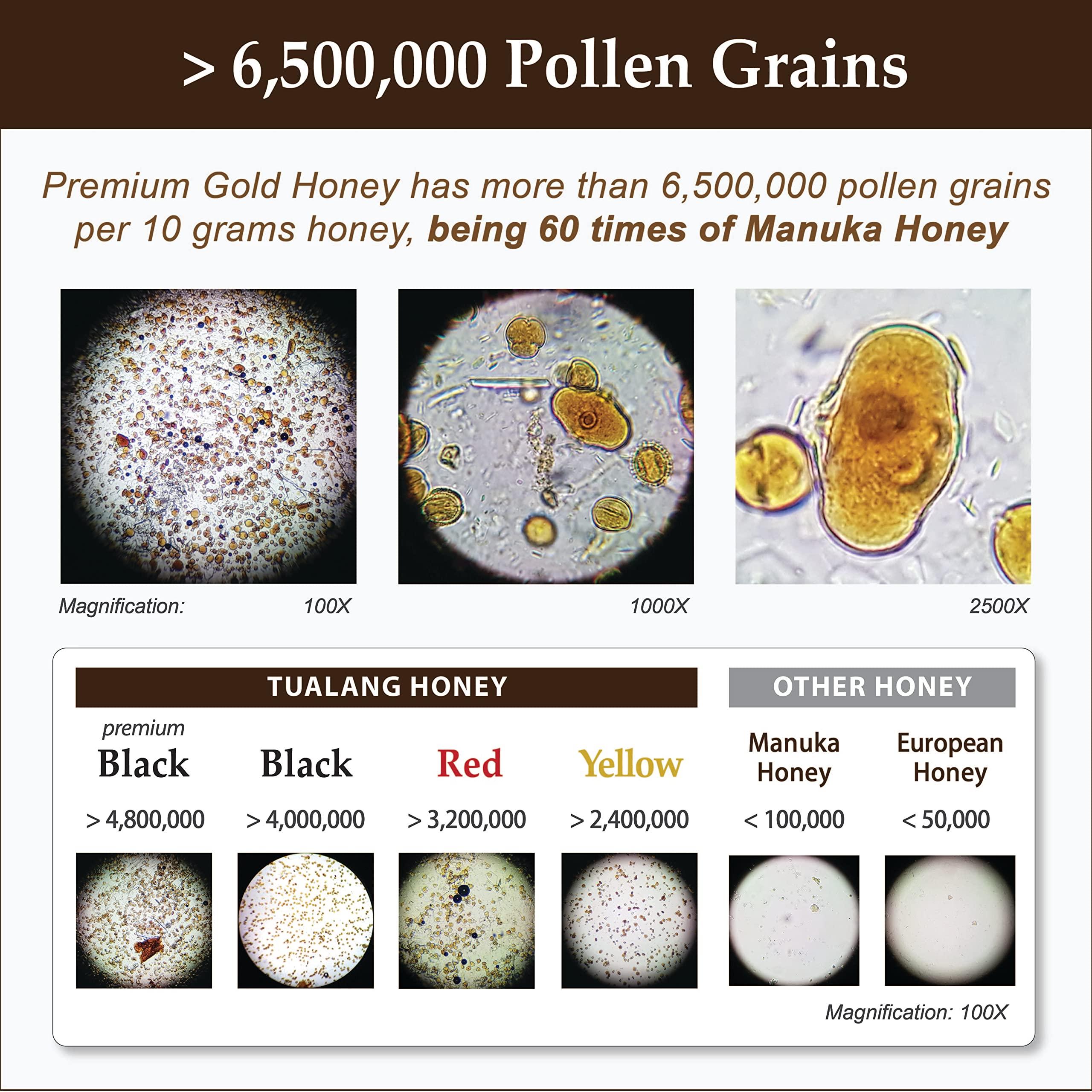 Health Harvest Premium Tualang Gold Honey 50g (TA 10.5+, Pollen Count 6.5M+, Pollen Variety 200+) Supreme Choice for Rehabilitation, Wild-ripening on 250ft Treetop, Raw, Unpasteurised, Unfiltered