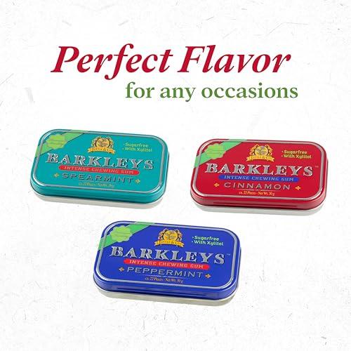 Barkleys Barkleys Sugar Free Chewing Gum with Cinnamon Gum 9 x 30 g