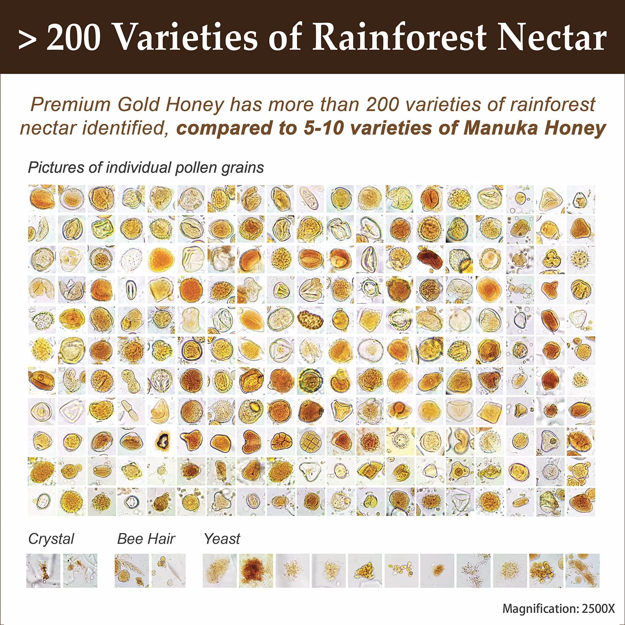 Health Harvest Premium Tualang Gold Honey 50g (TA 10.5+, Pollen Count 6.5M+, Pollen Variety 200+) Supreme Choice for Rehabilitation, Wild-ripening on 250ft Treetop, Raw, Unpasteurised, Unfiltered