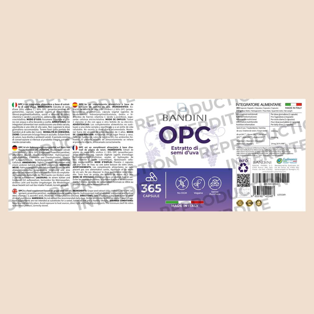 BANDINI Bandini OPC Supplement (95%) Grape Seed Extract | 1076mg OPC + Vitamin C | 365 Capsules | High Strength Antioxidant | Pure Oligomeric Proanthocyanidin 95% from Italian Grapes | Highest HPLC Content