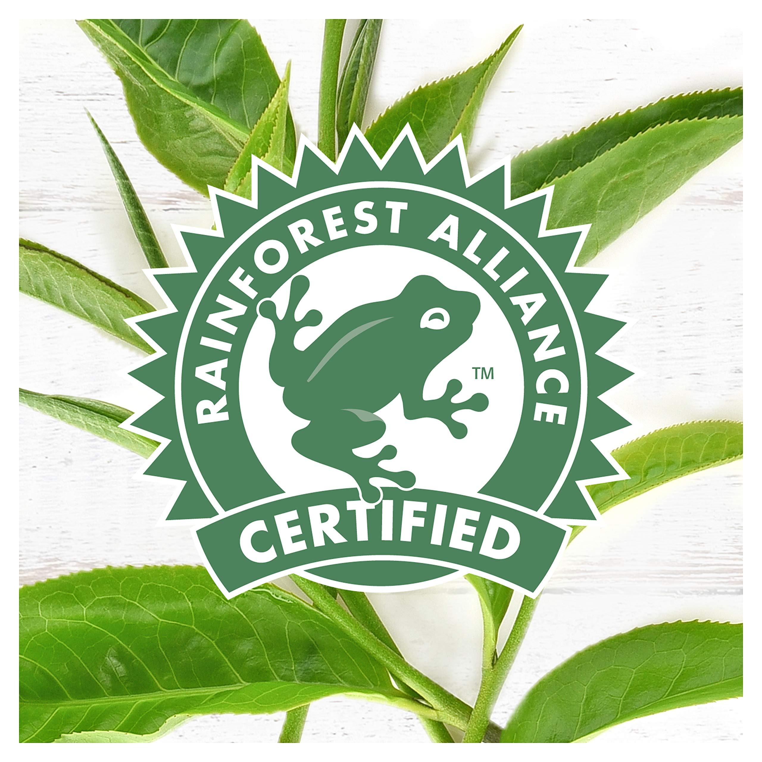 PG Tips PG Tips, The Tasty Decaf, Decaffeinated Tea Bags, Bulk Pack of 6 (Total 420 Tea Bags)