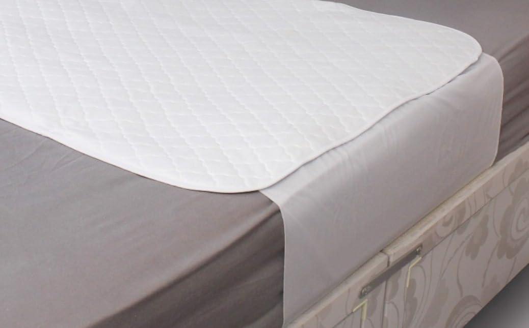 P&S Healthcare Ltd Incontinence Bed Pads in Various Sizes - Economy - Washable Bed pad - Bed Protector - high absorbencies Washable/Reusable (Blue - Without Wings, 100cm x 100cm)