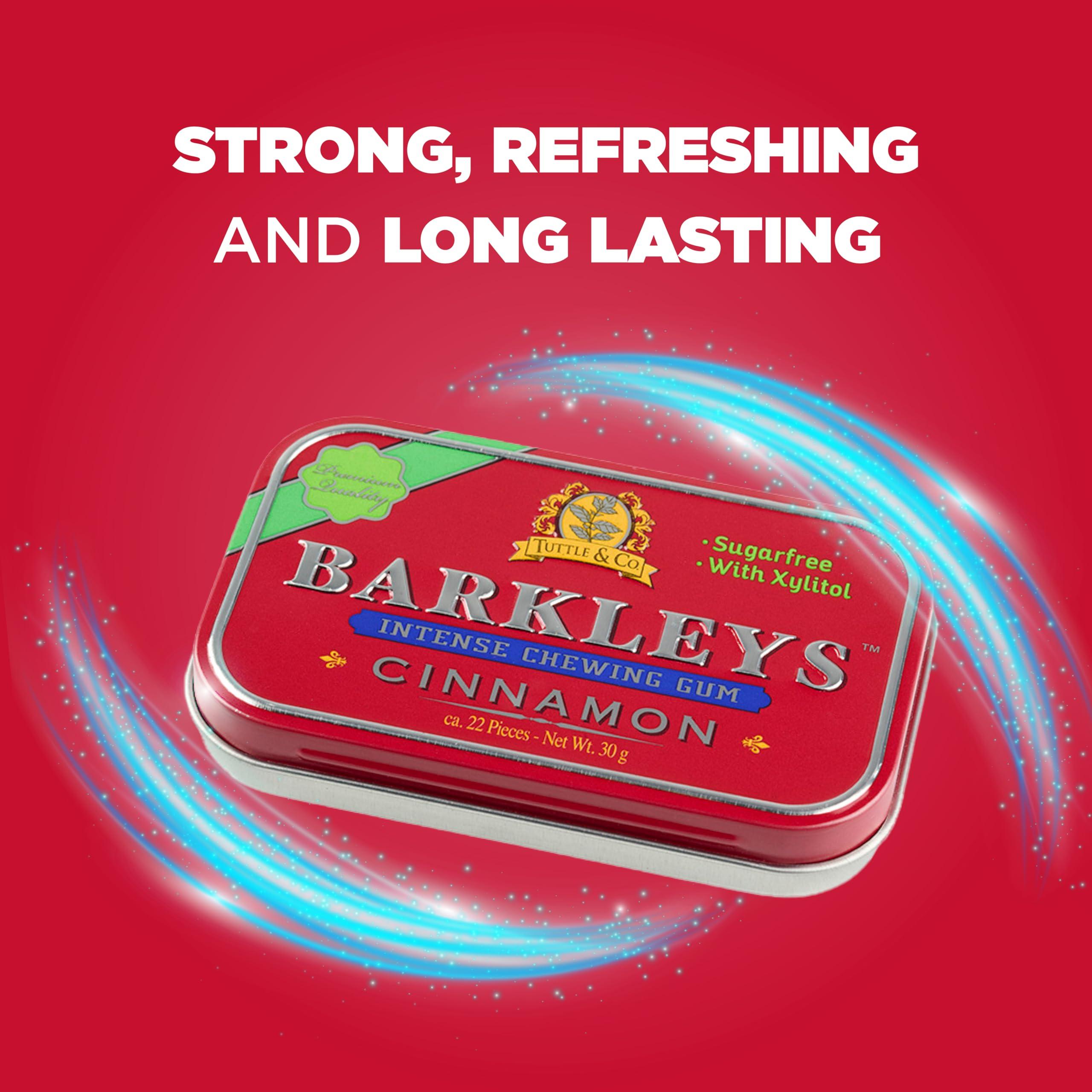 Barkleys Barkleys Sugar Free Chewing Gum with Cinnamon Gum 9 x 30 g