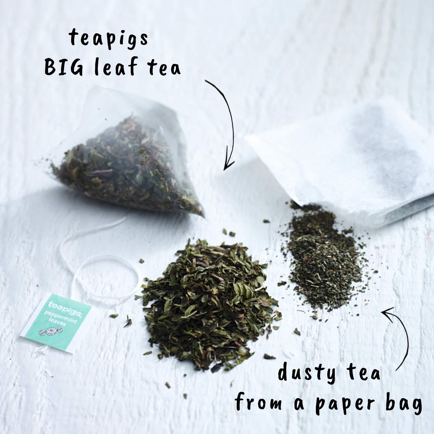 Tea Pigs Teapigs Liquorice and Peppermint Tea Made With Whole Flowers (1 Pack of 50 Tea Bags) & Peppermint Herbal Tea Bags Made With Whole Leaves (1 Pack of 50 Teabags)