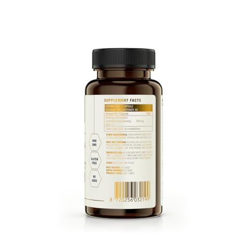MCS Formulas Scutellaria Extract, 500mg/ Vegan Capsule, High Strength & Purity, Vegan Capsule