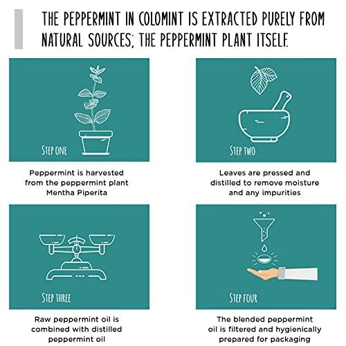 COLOMINT Colomint Peppermint Oil Capsules - for IBS Relief, Bloating, Tummy Pain and Healthy Digestion - 84 Gastro-Resistant Capsules (0.2ml Each), Natural Soothing Mint, Sealed in Hygienic Blister Strips