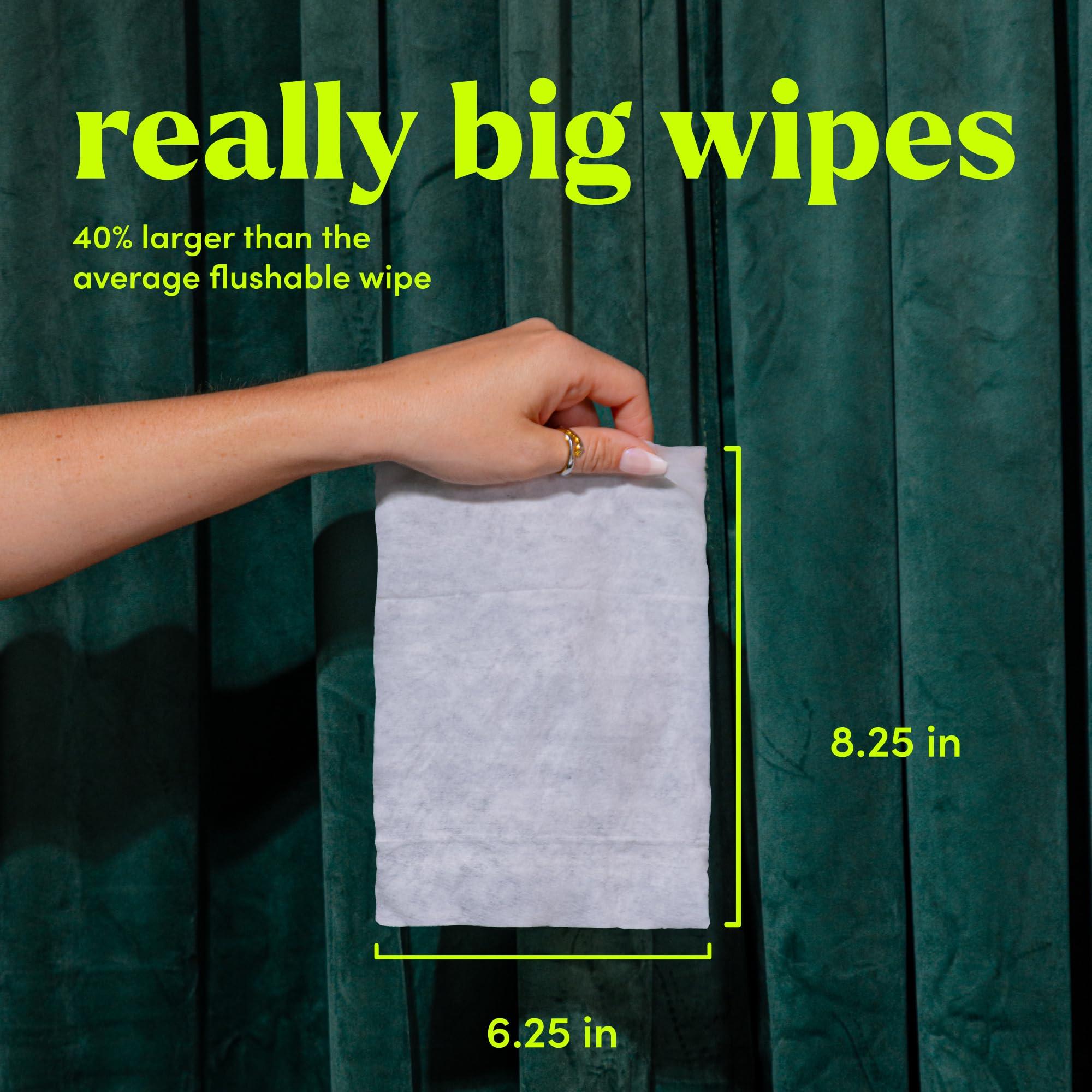 goodwipes Goodwipes Flushable & Biodegradable Wipes with Botanicals, Dispenser for At-Home Use Safe, Shea-Coco with Aloe, Septic and Sewer Safe (4 Variety Scent Pack)