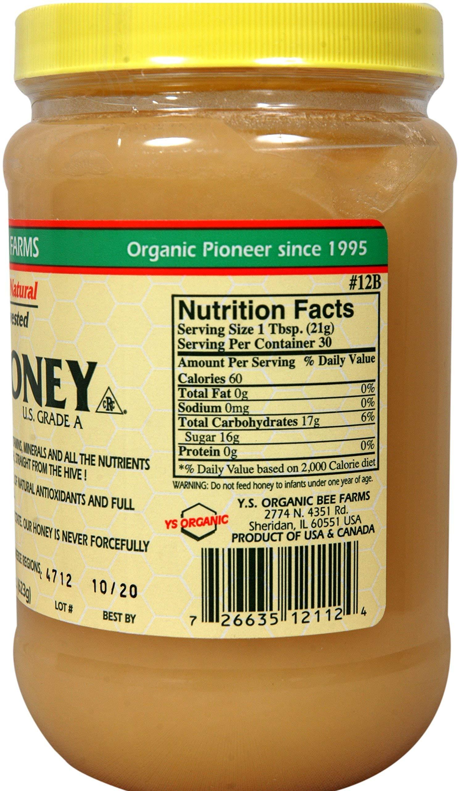 YS Organic Bee Farms Y.S Eco Bee Farms Raw Honey USA Grade A.-22oz (623 gm)