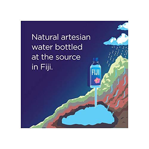 EVAXO Fiji Natural Artesian Water (500 mL, 24 Pack)
