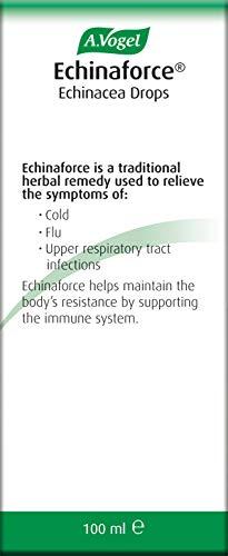 A.Vogel A.Vogel Echinaforce Echinacea Drops | Relieves Cold & Flu Symptoms by Supporting The Immune System | 100 ml