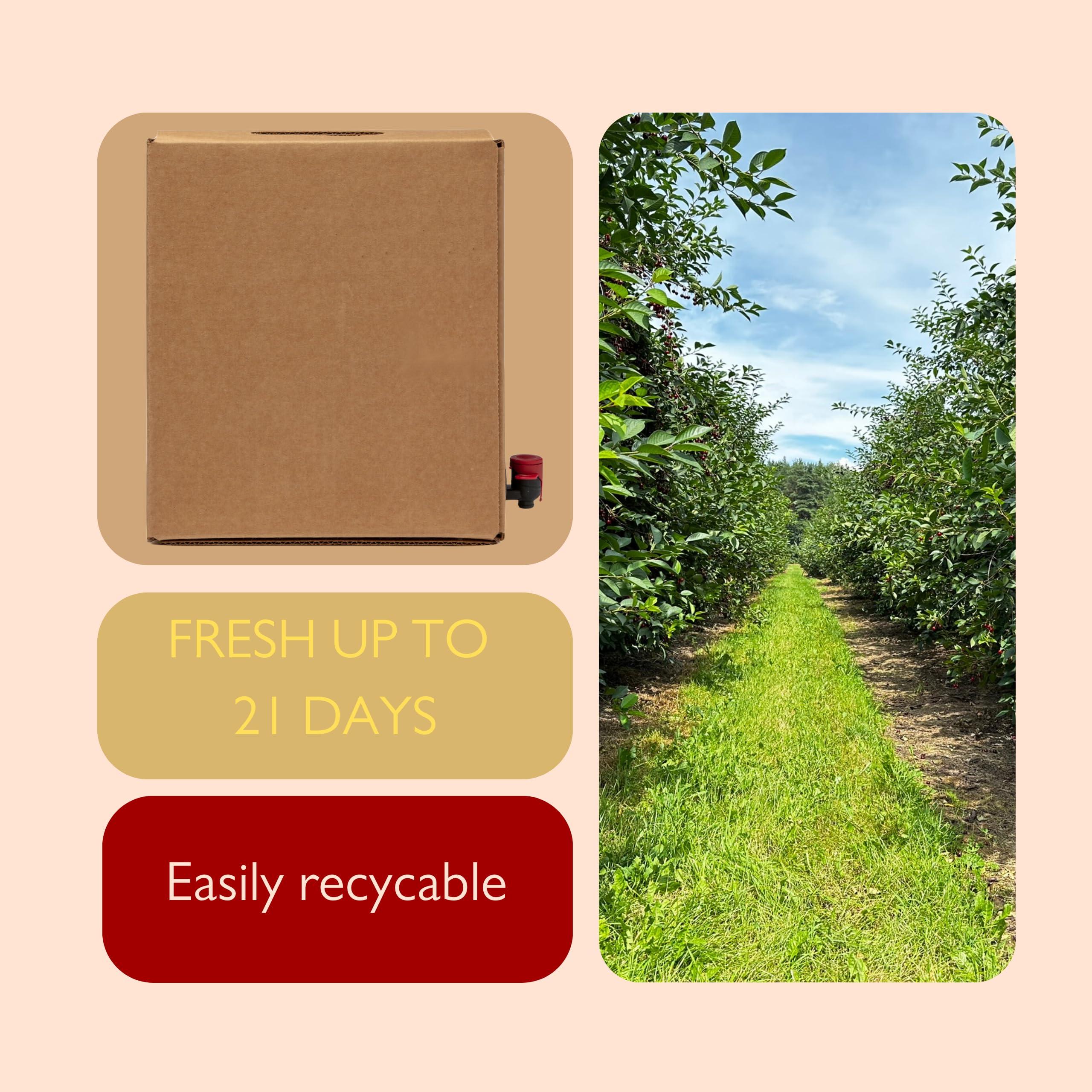 PRESSUICE PRESSUICE Fresh Sun Kissed Orange Juice not from concentrate | 1 carton 5 liters Fruit Juice NFC | Pressed Orange Semi Sweet Drink | No added Sugar | Natural Sugar Free Press Juice | Soft drinks