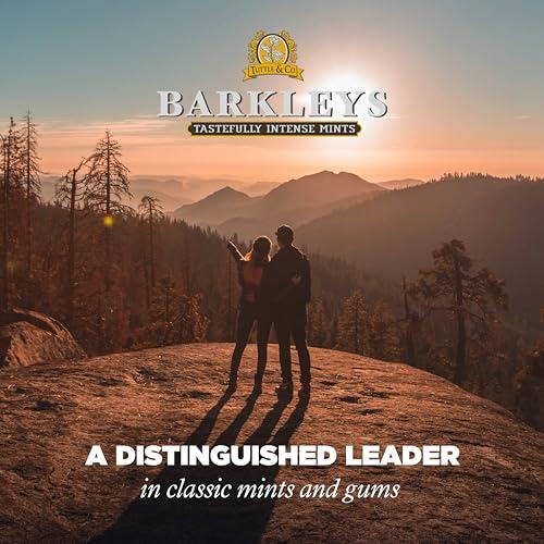 Barkleys Barkleys Sugar Free Chewing Gum with Cinnamon Gum 9 x 30 g