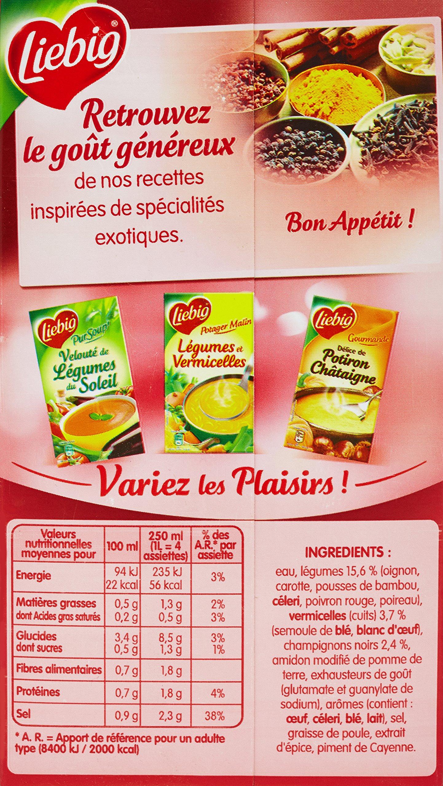 LIEBIG LIEBIG liebig Soup Chinese Brick 1 l