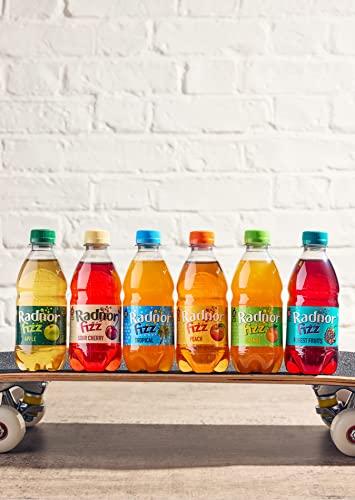 Radnor Hills Radnor Fizz Mixed Case - Six Flavours Incl Tropical & Forest Fruits - 12x330ml
