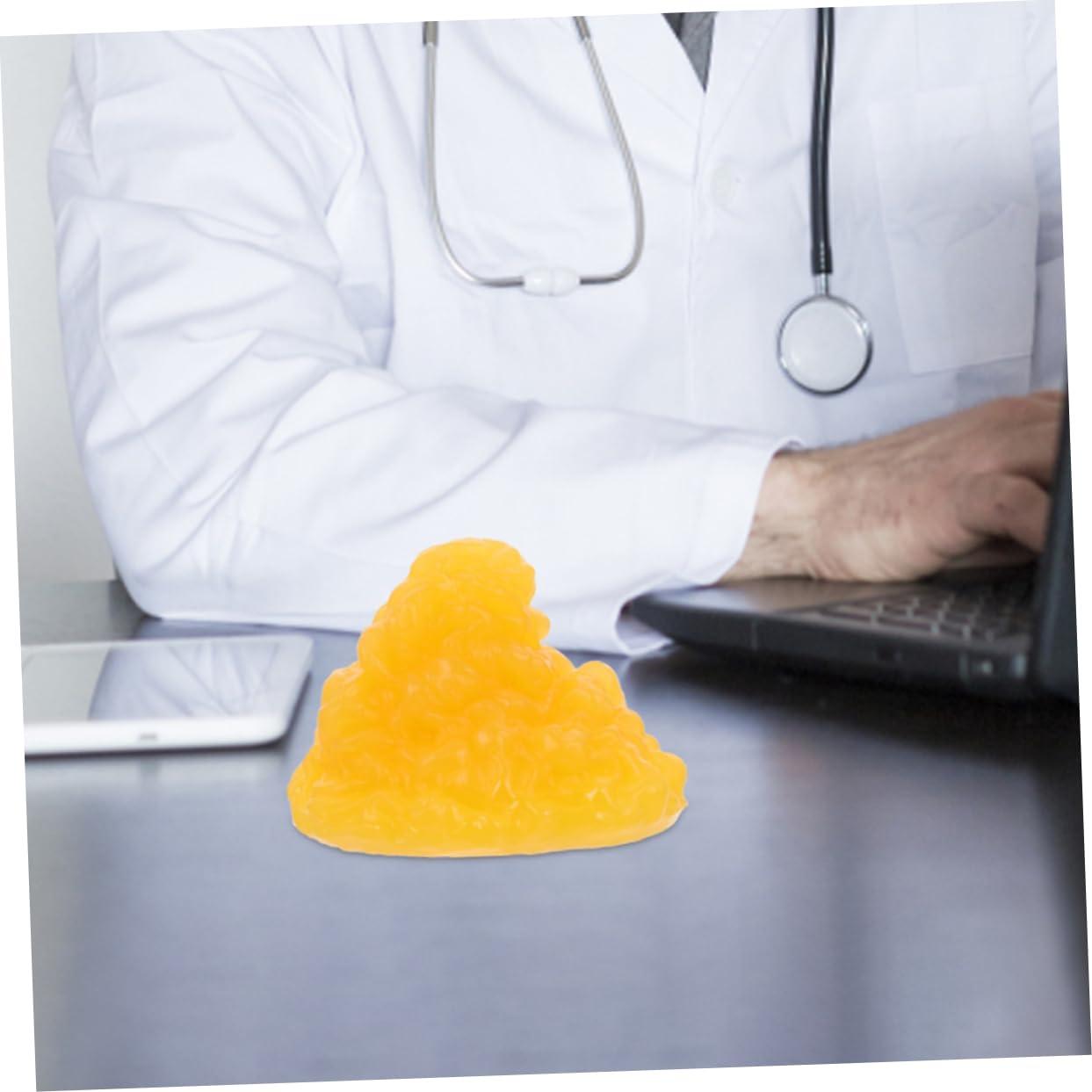 Mobestech Mobestech Fat Model 5 Pound Fat Anatomical Model Fat Male Models Fat 1lb Examination Supplies Maniquin 1 Pound Fat 1 Pound of Fat Teaching Model 5lb Fat Manikin Body Student Component TPE