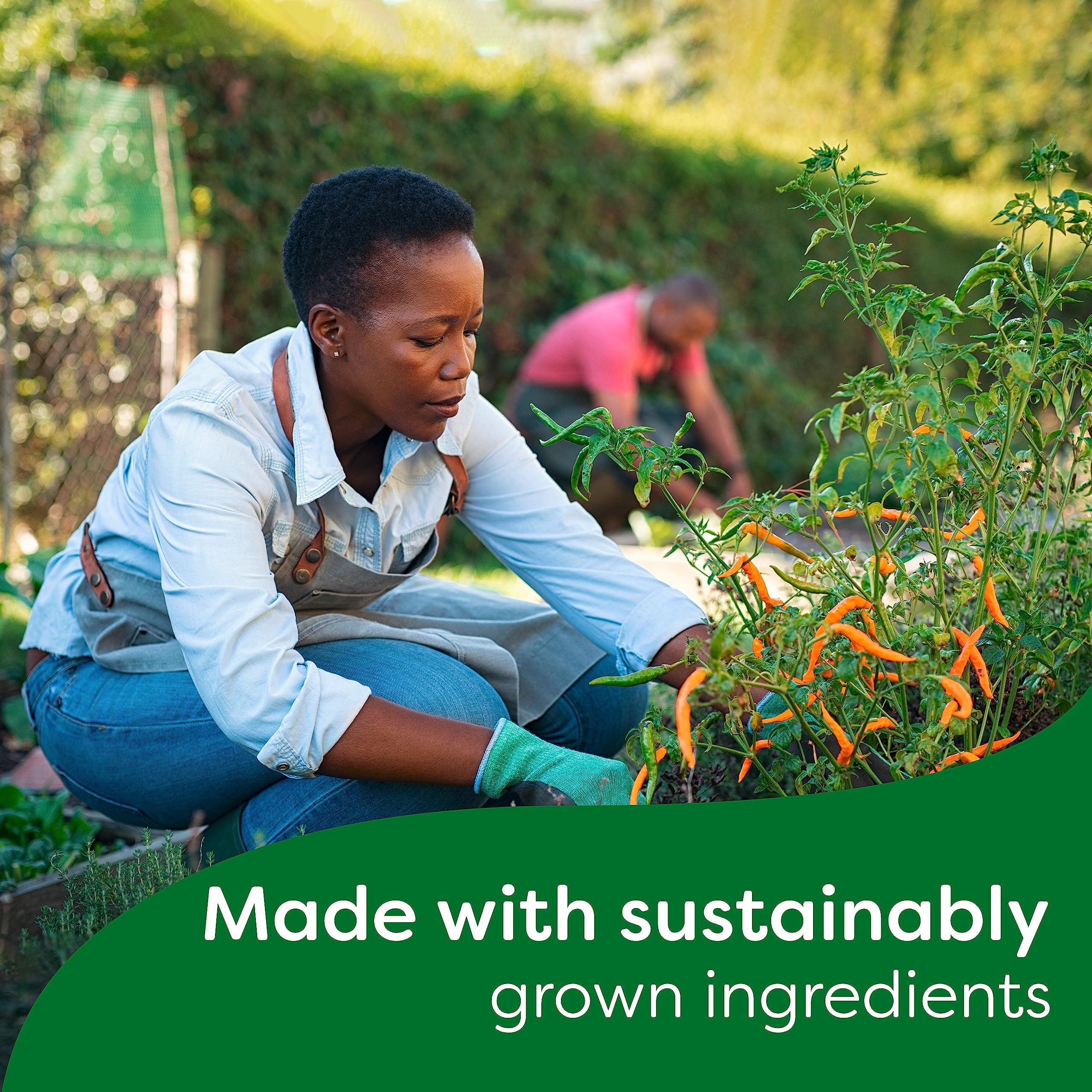 Knorr Knorr Zero Salt Chicken Stock Cubes pack of 32 lactose- and gluten-free for delicious, zero-salt chicken dishes 9 g