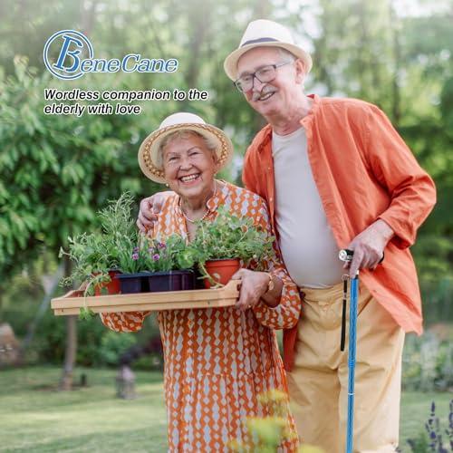 BeneCane BeneCane Walking Cane for Women Folding Cane for Men with Two Led Lights Quad Cane with Stable Base Lightweight and Adjustable Walking Stick (Blue)