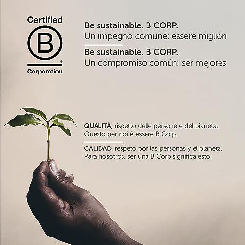 illy illy Coffee Nespresso Compatible Capsules, Classico, Aluminium Coffee Capsules, Bulk Pack of 100