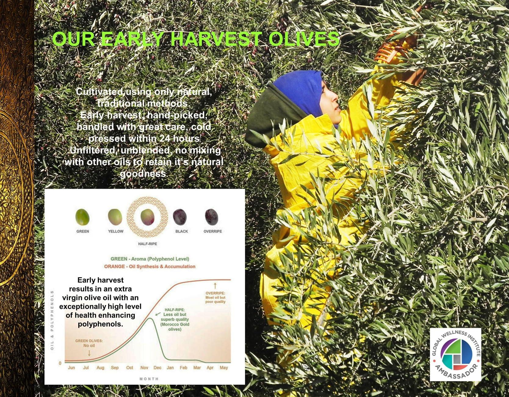 Morocco Gold Morocco Gold Single Estate Extra Virgin Olive Oil - Unfiltered, Unblended. High in Polyphenols. Pure and natural. 500ml