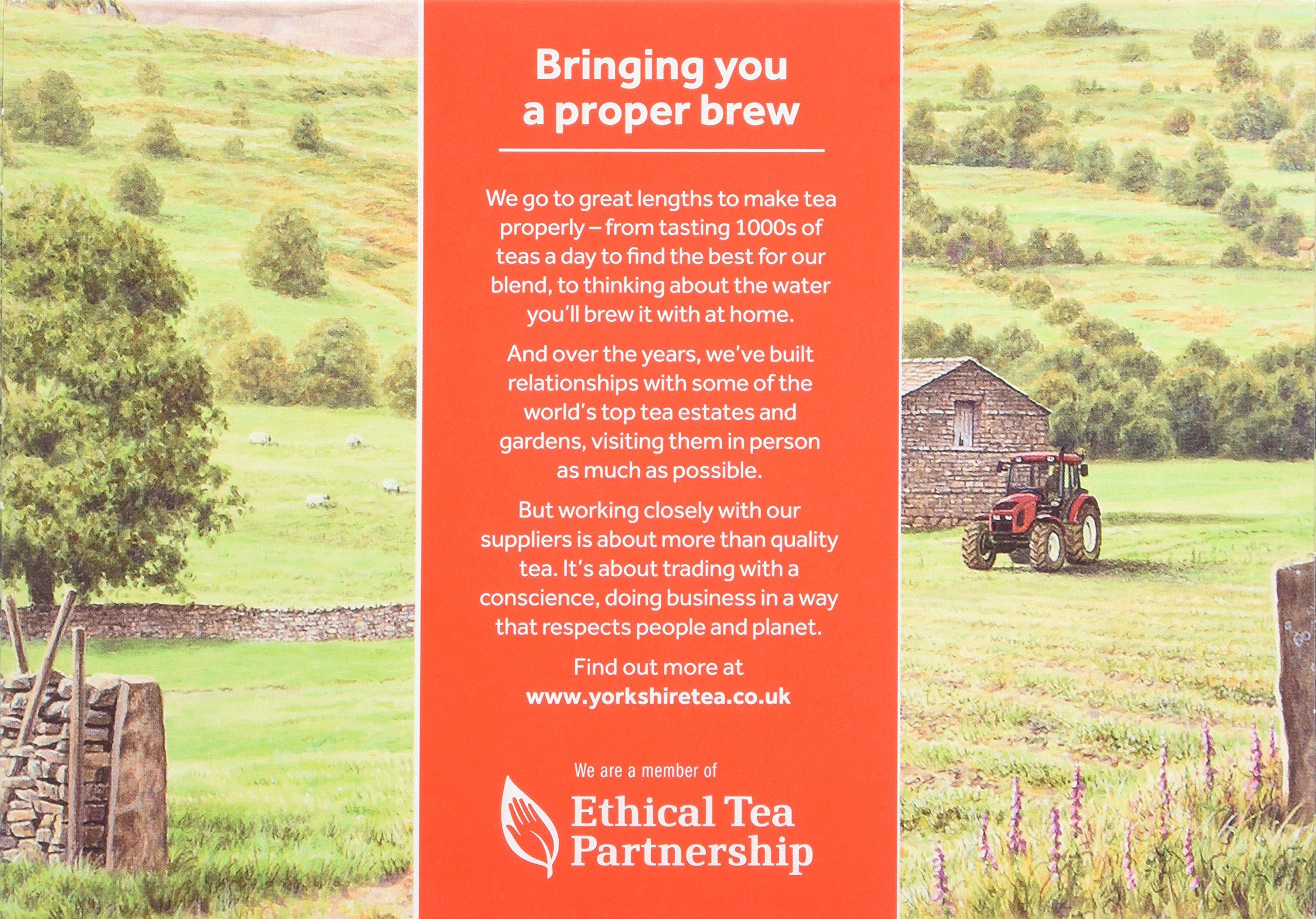 Yorkshire Tea Yorkshire Tea (Pack of 3, Total 480 Bags)