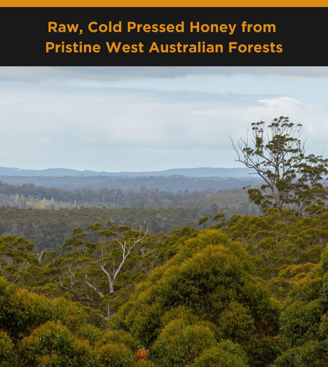 HONEY FOR LIFE Strong Active Honey | Desert Mallee TA20+ / MGO 800+ | Stronger than Manuka Honey Medical Grade | Raw Honey - Cold Pressed & Unpasteurised | Honey for Life (500 g)