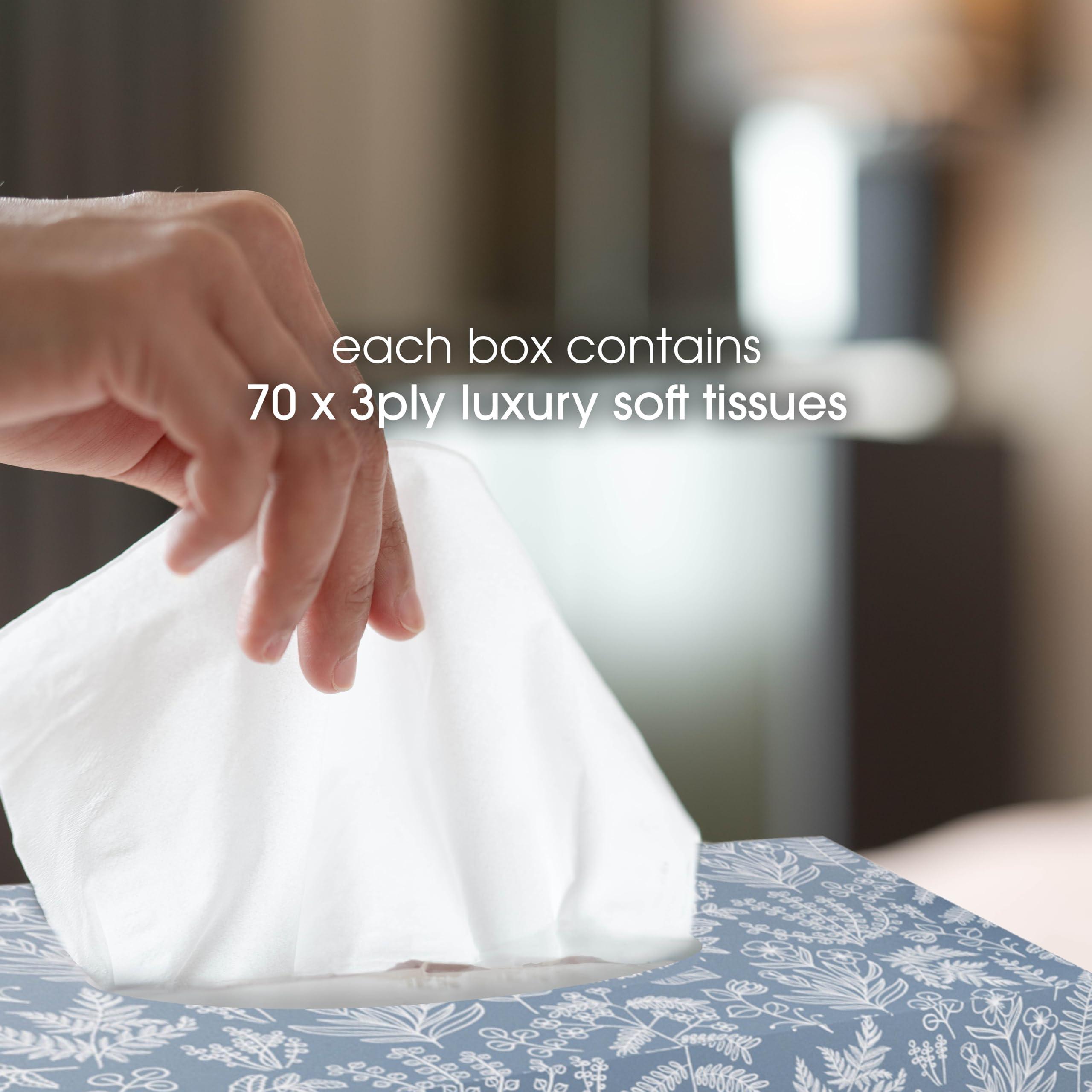 Softy Softy Luxury Soft Box Tissues - Extra Soft Facial Tissues Bulk Buy - 1680 3-Ply Tissues (24 x 70 Tissues)