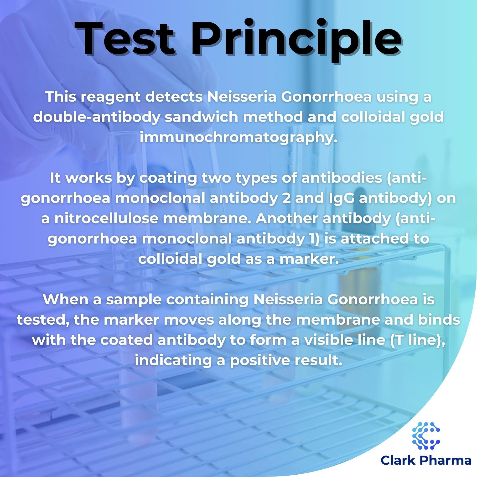 Clark Pharma Gonorrhoea Test Kit | Tests Male (Urethral Swab) or Female (Cervical Swab) for Gonorrhoea Bacteria | Rapid STD STI Test (Gonorrhoea Only)