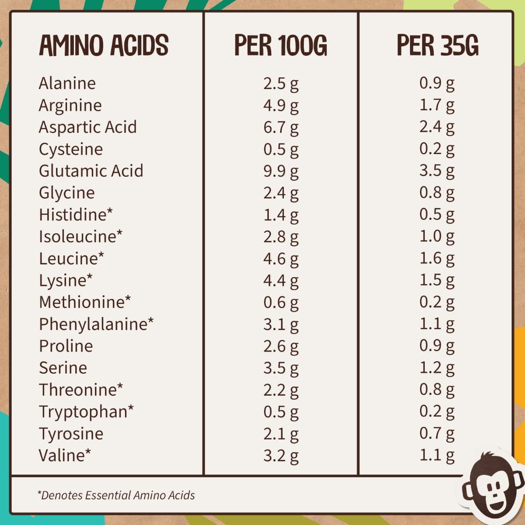 Wyldsson Vegan Protein Powder (1kg) - 28 Servings - EarthChamp by Wyldsson - Plant Based Vanilla Protein Powder Shake, Dairy Free, Gluten Free, Lactose Free Protien Powder (Vanilla)