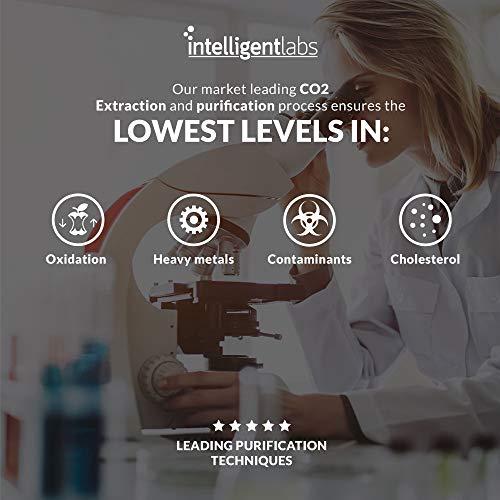 Intelligent Labs Intelligent Labs Triglyceride Omega-3 | 2,250 mg Fish Oil (1,224 mg EPA + 816 mg DHA + 210 mg Other Omega-3) | 120 Softgels | High-Potency Fish Oil Supplement