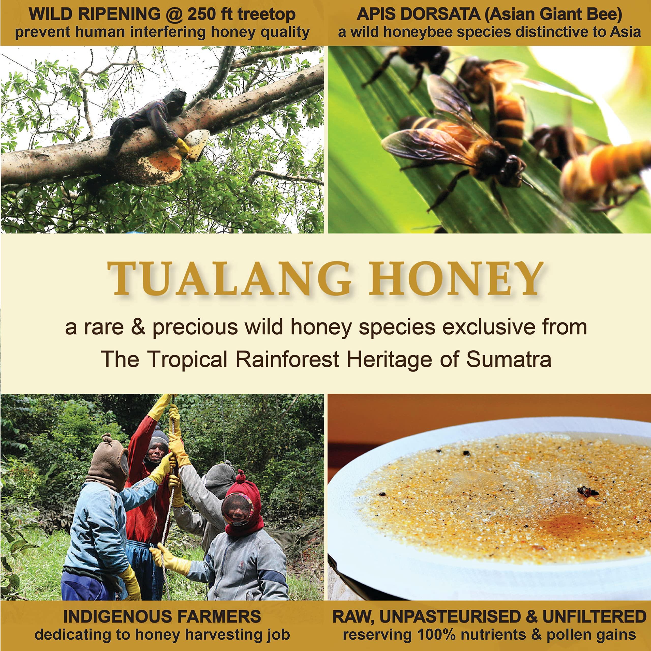 Health Harvest Tualang Black Honey 50g (TA 11.5+, Pollen Count 4.0M+, Pollen Variety 100+) Intense Choice for Women Preservation, Wild-ripening on 250ft Treetop, Raw, Unpasteurised, Unfiltered