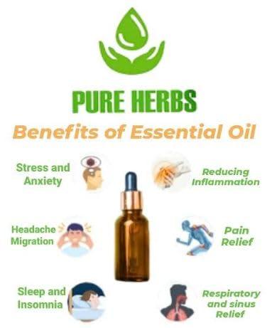 Pure Herbs Pure Herbs Sesame Oil (Sesamum indicum) Pure & Natural Therapeutic Grade Carrier Oils with Dropper (50ml)