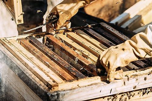 Q honey Pure Raw Honey 1kg Natural Unpasteurised Unfiltered Unheated Forest honey Wildflower Honey