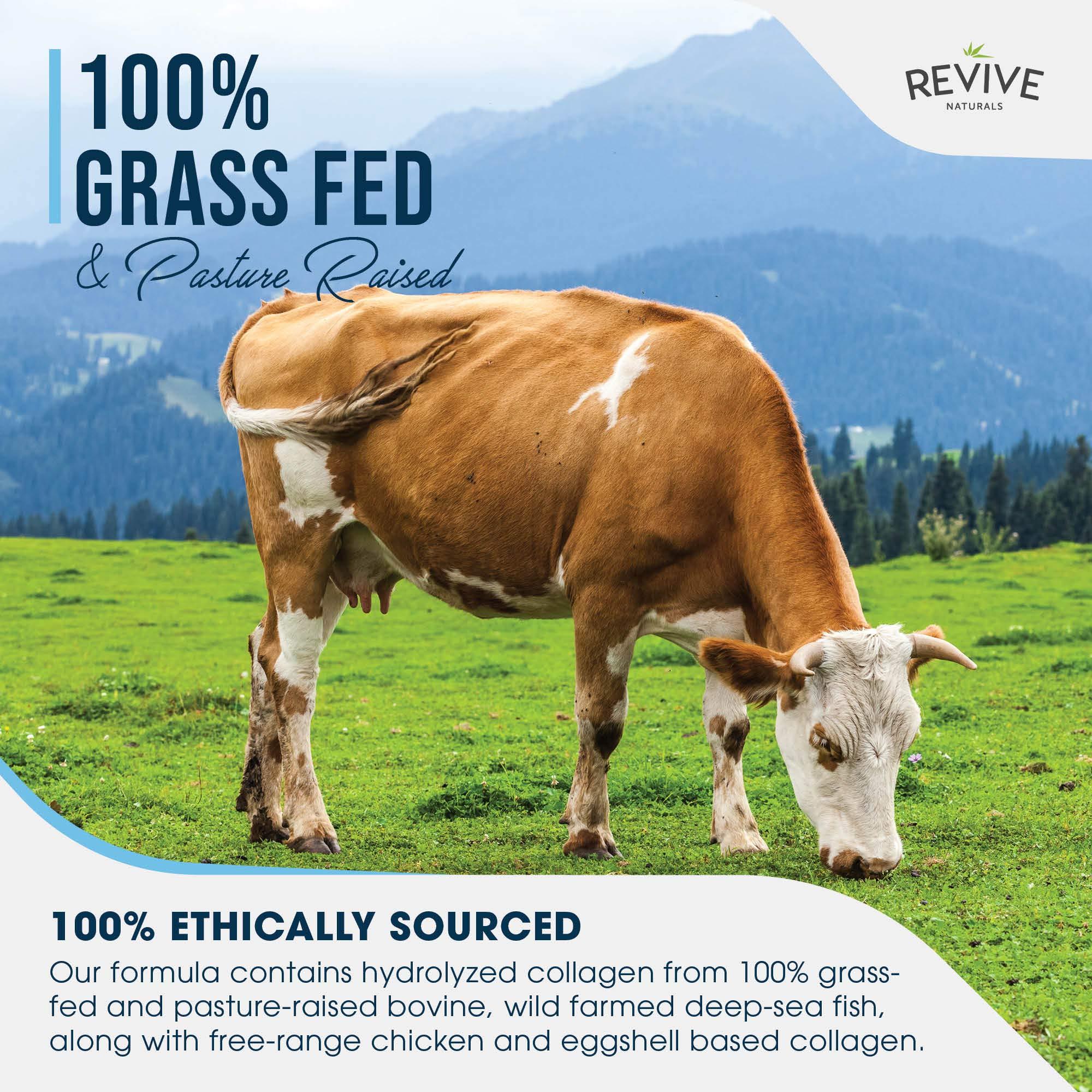 Revive Naturals Multi Collagen Protein Powder Packets - Types I, II, III, V & X - Hydrolyzed Grass Fed Bovine, Wild Caught Fish, & Free-Range Chicken & Eggshell Collagen. Non-GMO, Halal, (10g Each, 40 Packets)