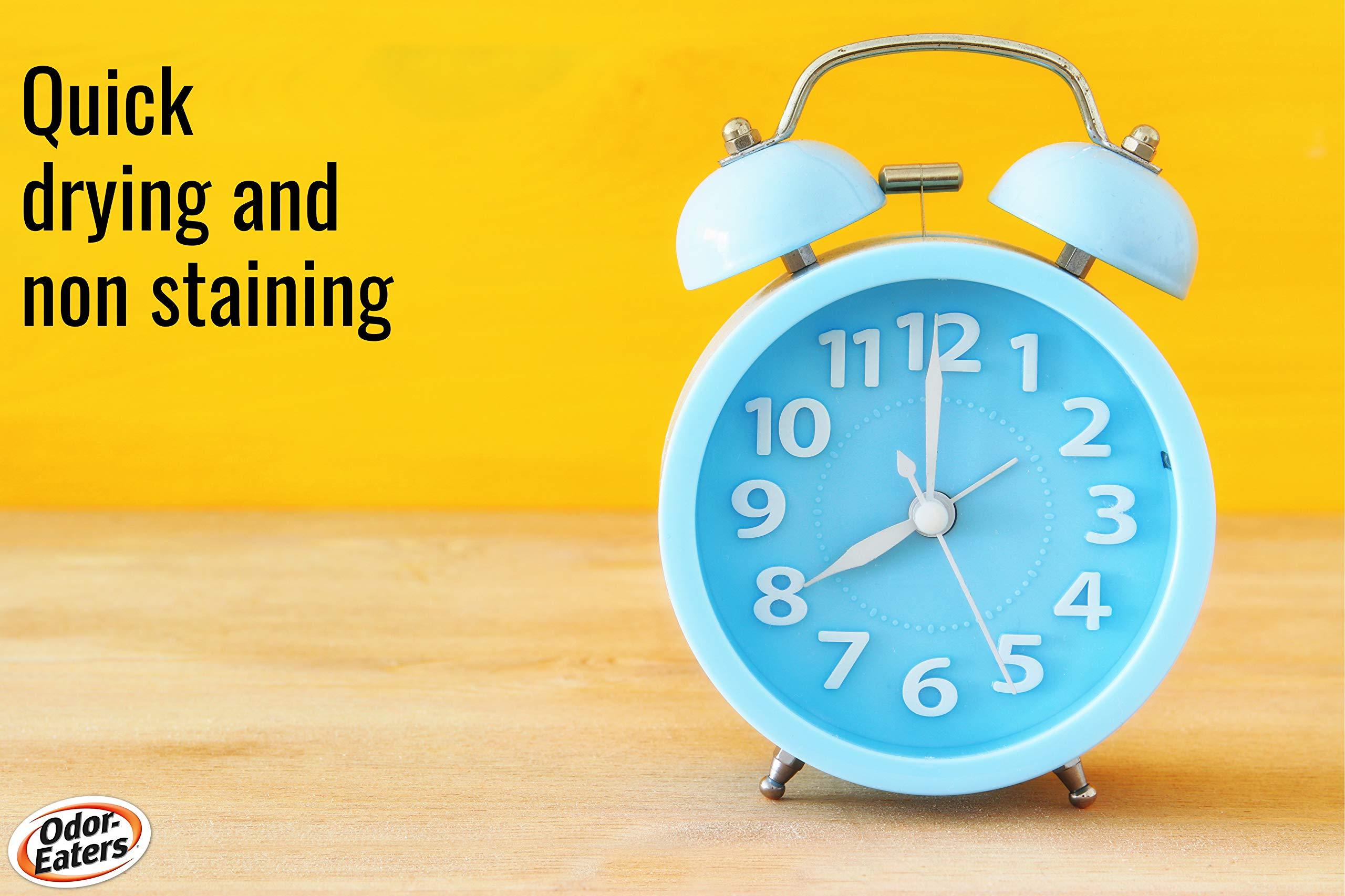 Odor-Eaters Odor-Eaters, 24 Hour Odour Destroying Antiperspirant Foot and Shoe Spray for Sport Shoes, Pack of 6