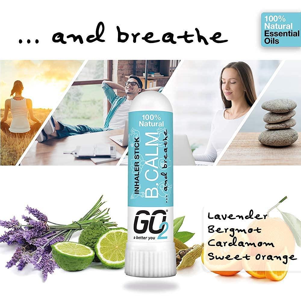 GO2 GO2 Inhaler B. Calm Stick Essential Oils for Convenient On-The-Go Use 100% Natural, Synthetic-Free, and Cruelty-Free (1ml Tube)