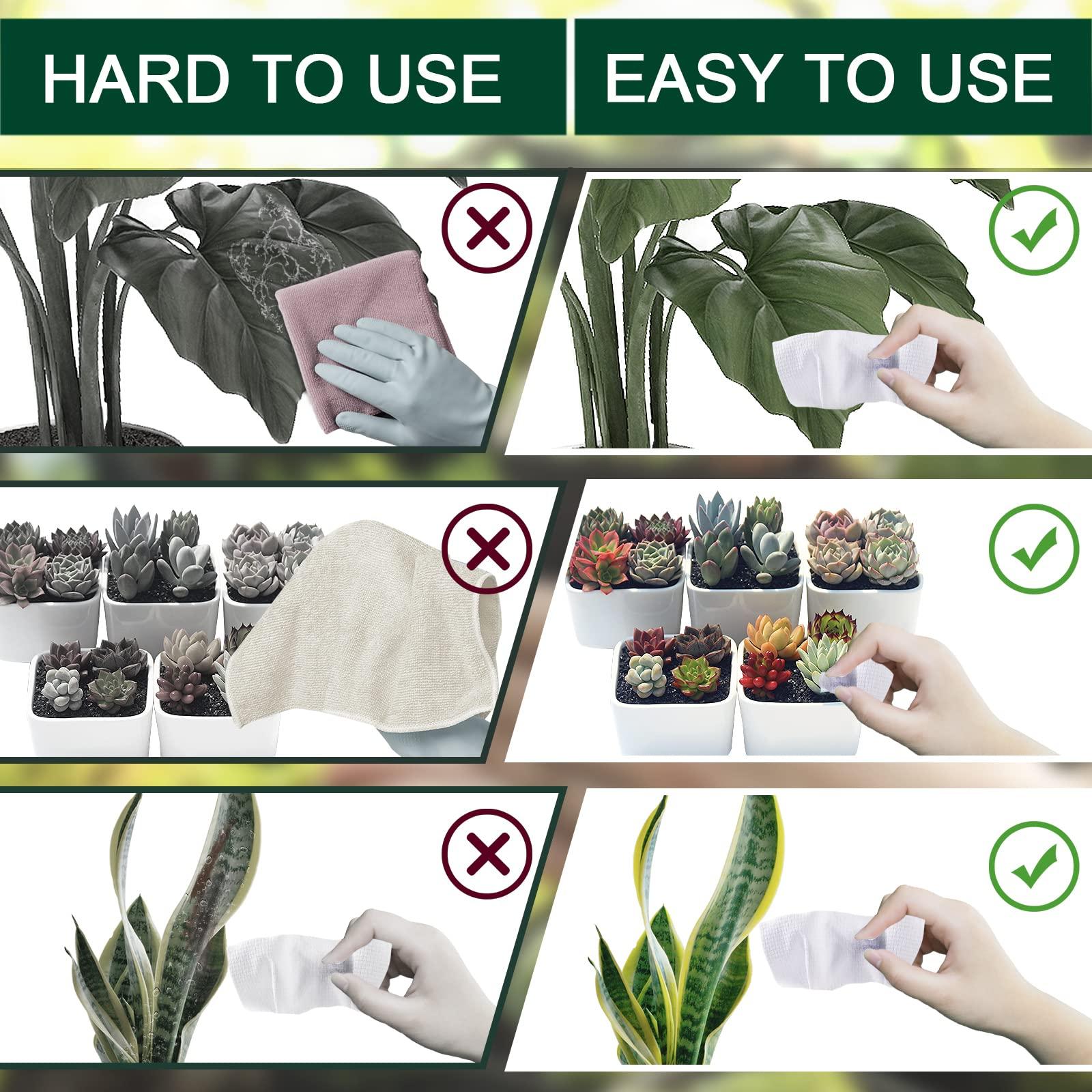 Leopong Leopong Plants Cleaning Wipes for Leaf Shine, Clean and Photosynthesis- Weave Unscented Wipes Perfect Plant Cleaner for Indoor Outdoor Plants | 80 Wipes