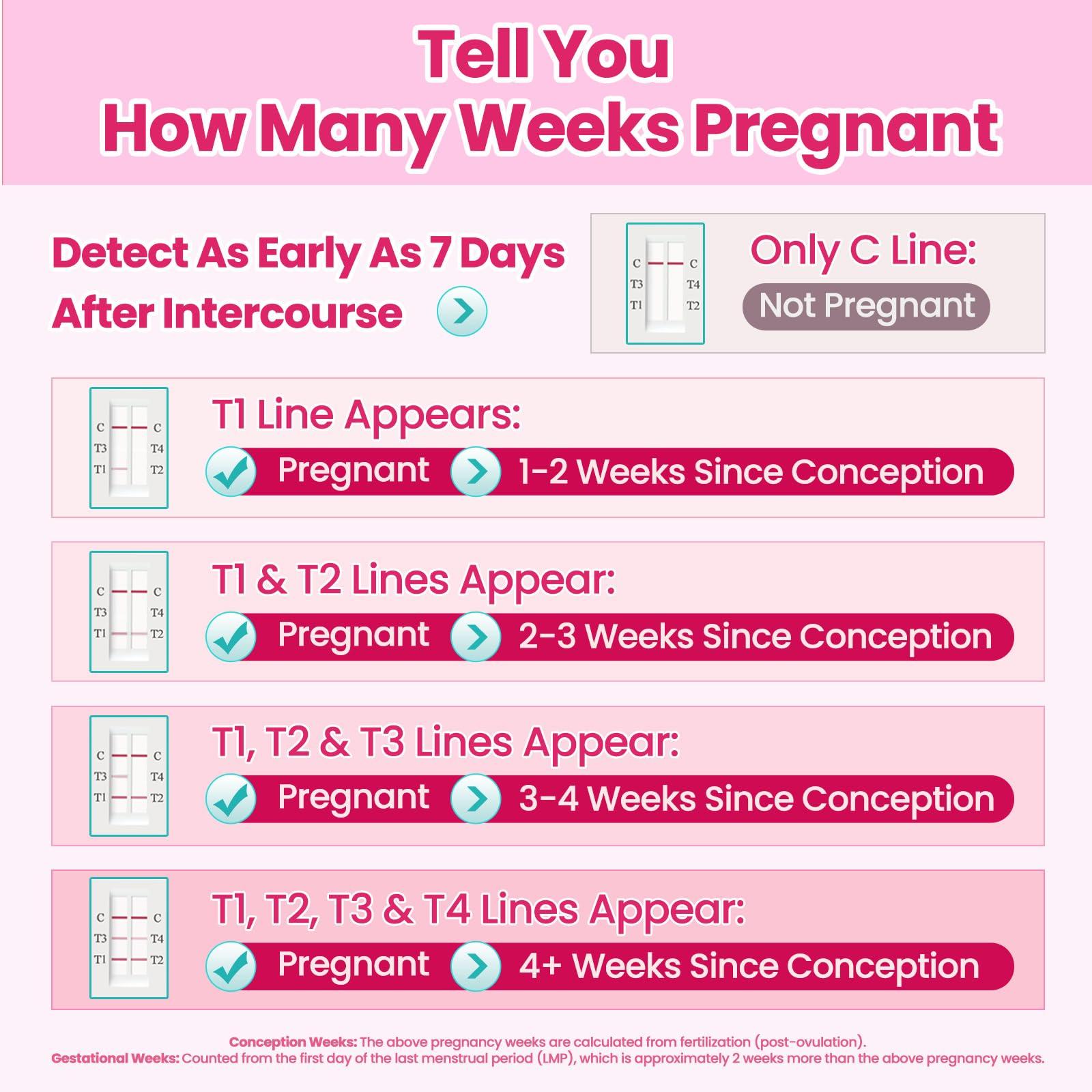 Accufast Accufast Pregnancy Test for Early Detection with Week Indicator to Tell You How Many Weeks Pregnant, hCG Urine Test with 99.99% Accurate & Quick Result (2 Tests)