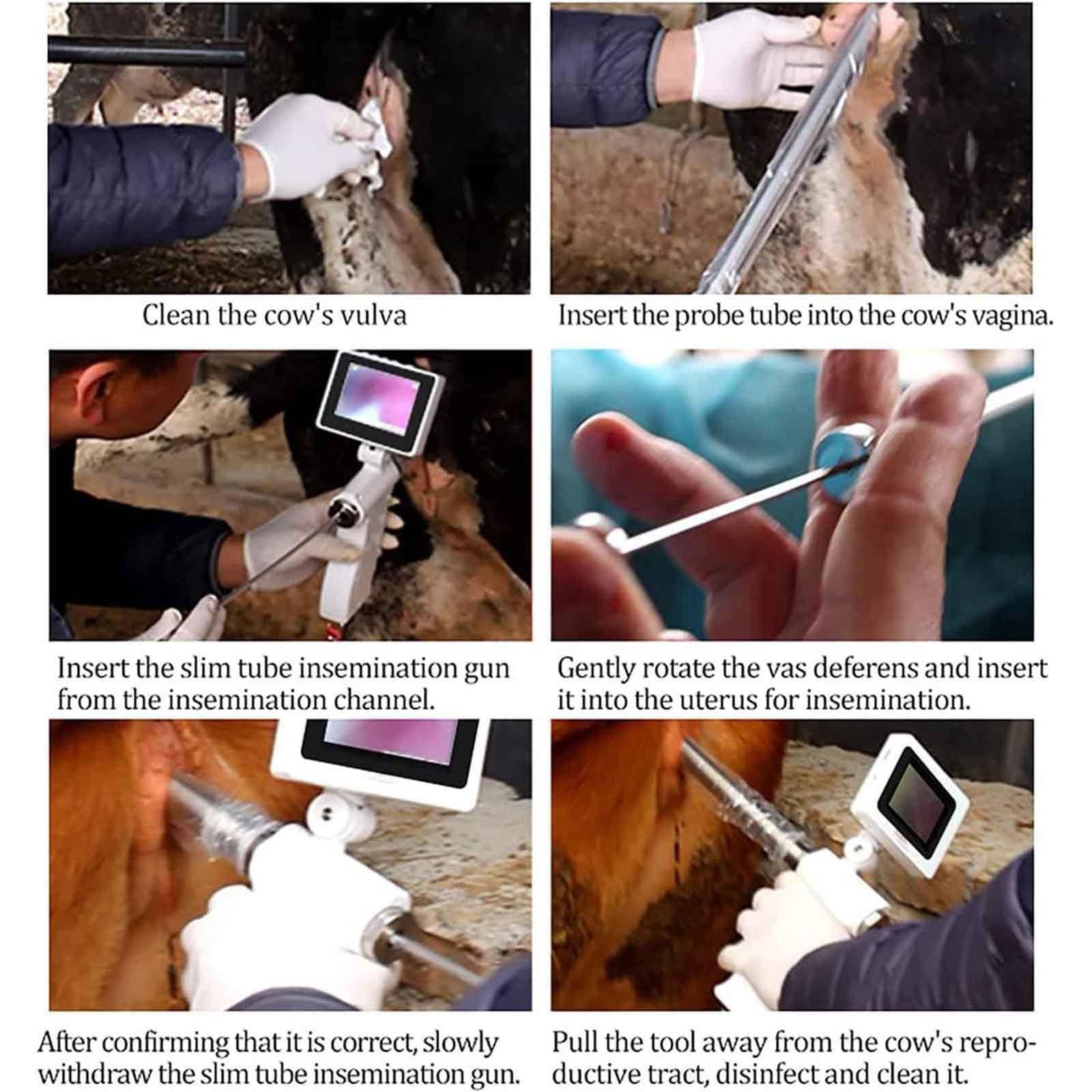 JINGEDD JINGEDD Artificial Insemination Gun,Cow Visual Endoscope Breeding Kit,Professional Visual Insemination Gun With 4.3 Inch Rotatable Screen,With Photo/Videos/Playback Function